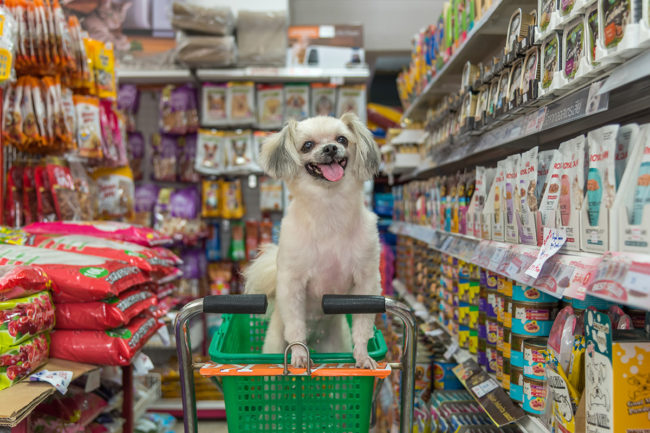 Dog in pet food store