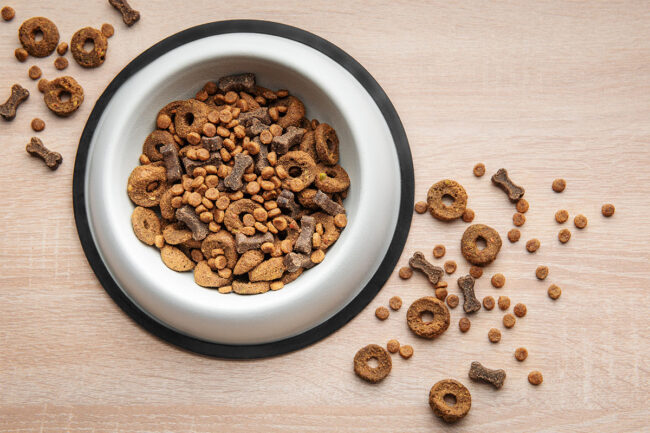 Bowl of pet food