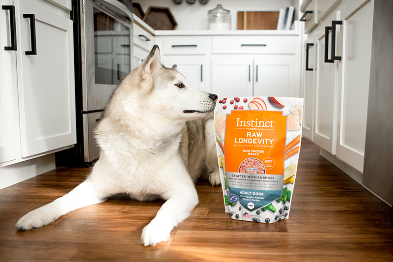 Instinct Pet Food uses MSC-certified, wild-caught Alaskan Pollock in its Raw Longevity Wild-Caught Alaskan Pollock dog food formula as part of its responsible sourcing practices