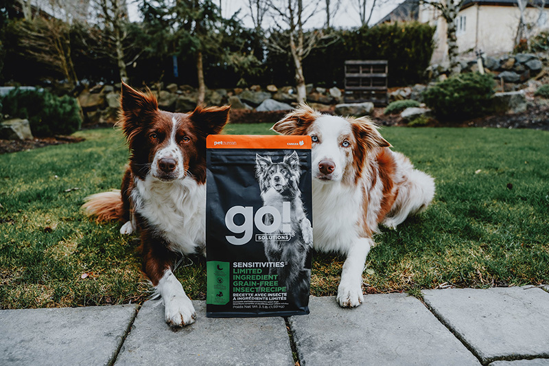 As part of its responsible sourcing initiatives, Petcurean has incorporated novel ingredients, like insects, and upcycled ingredients into its pet foods and treats