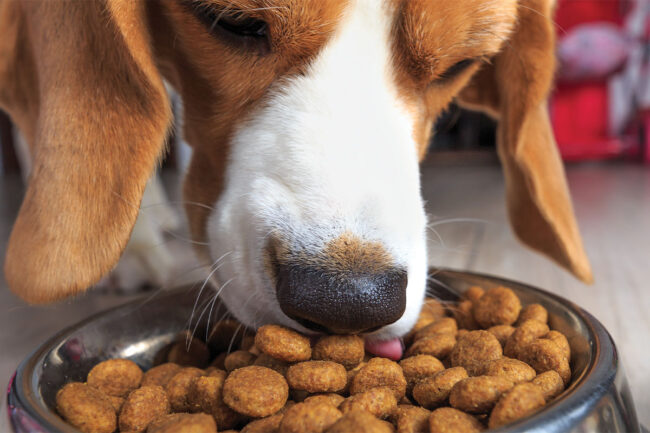 There is a 90% correlation between smell and taste preference when it comes to dogs, according to BSM Partners’ Emilie Mesnier, which means when testing for palatability, the smell of the dog food must be considered alongside the taste