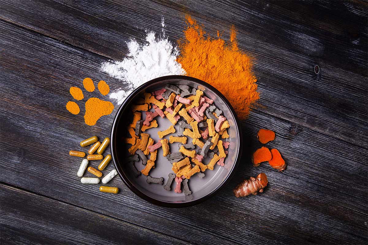 Pet food outlet ingredient suppliers