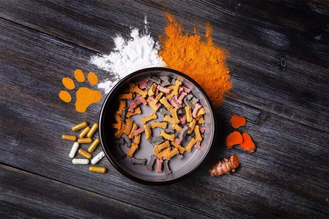 WACKER taking its supplement ingredients to the pet market