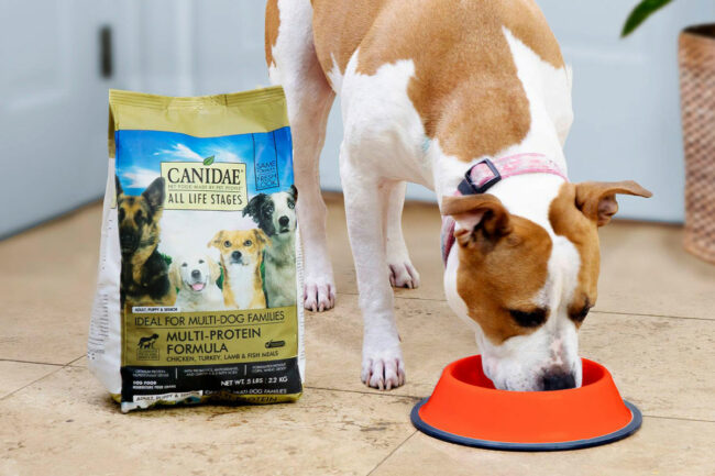 Canidae expands senior leadership team