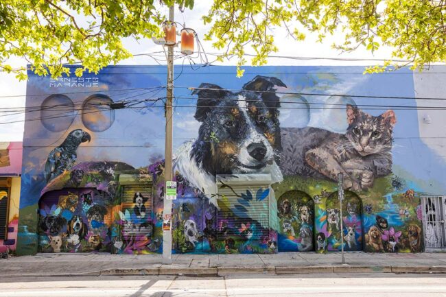 Chewy commissions pet murals and donates to shelters to celebrate 10th anniversary