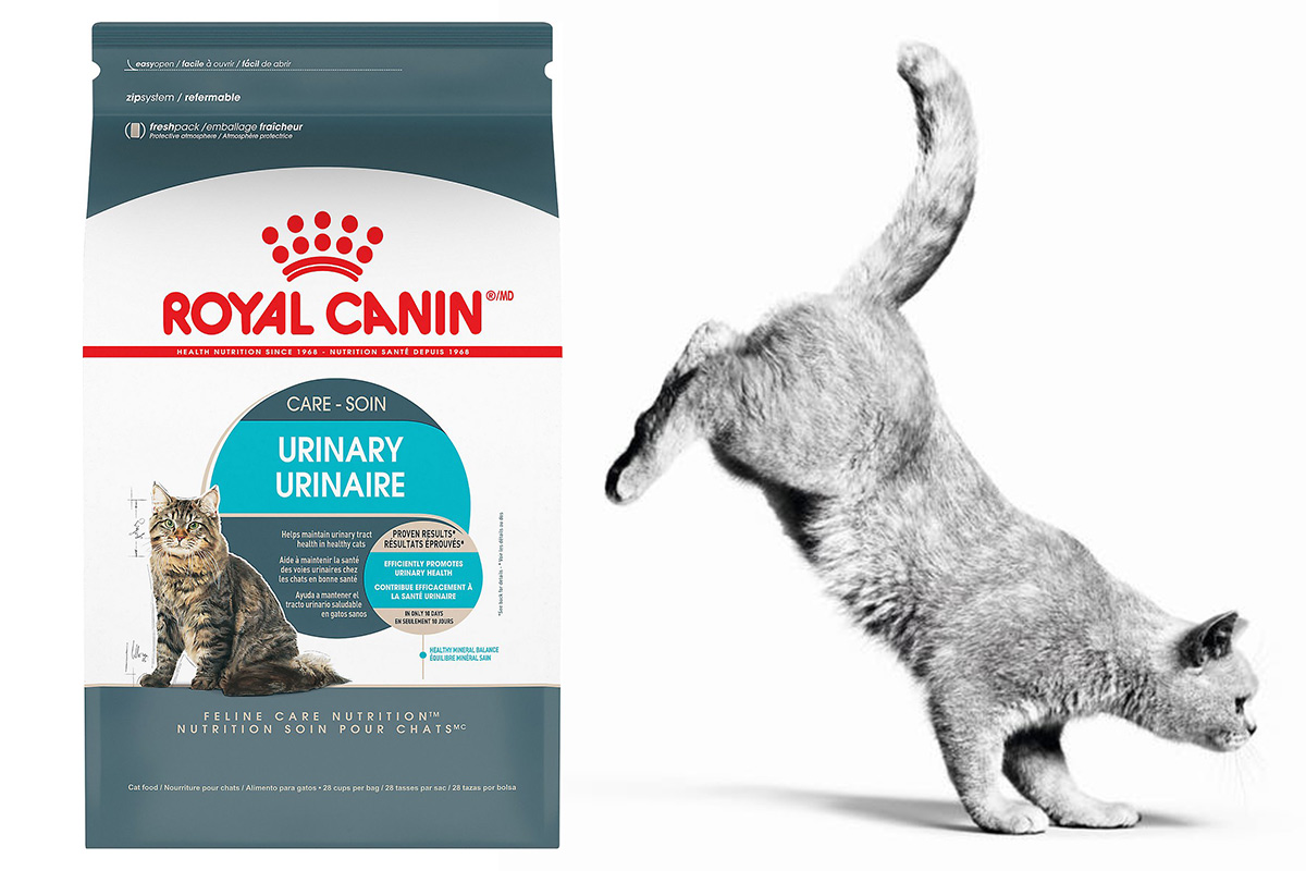 royal canin cat food for urinary problems