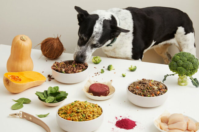 Australian fresh pet food company to accelerate scale with new investments