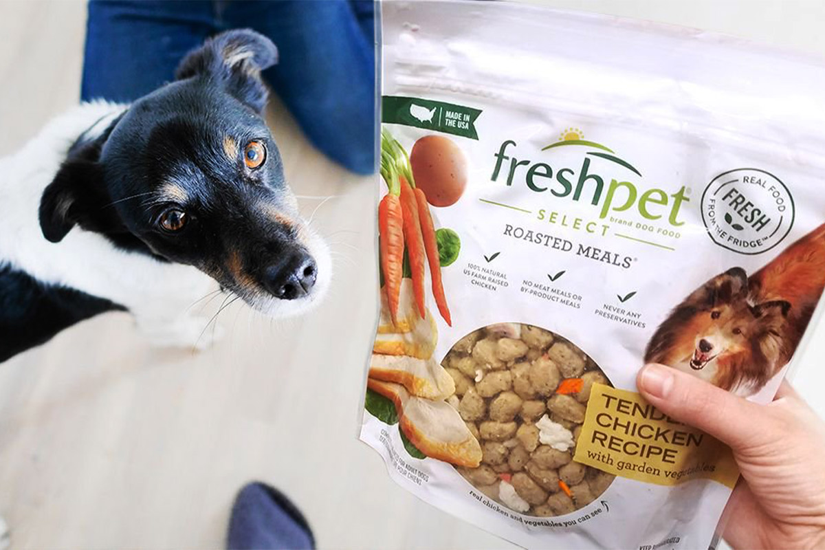 Chewy freshpet discount