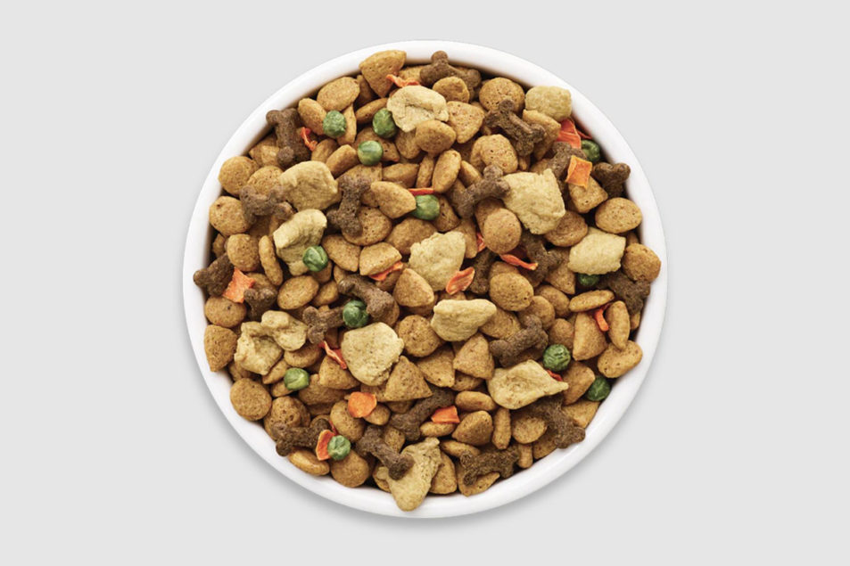 Younger pet owners more interested in personalized dog food | Pet Food