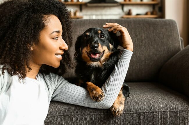 Dog ownership on the rise in the United States