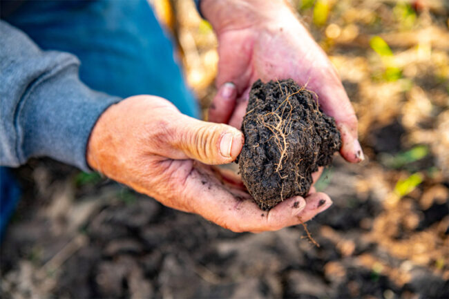 Cargill launches RegenConnect regenerative agriculture program for farmers