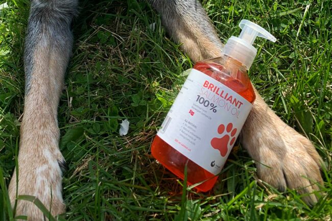 Hofseth BioCare expands southwestern distribution of Brilliant Salmon Oil