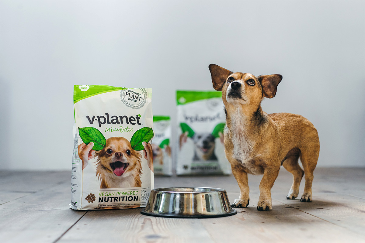 Vegan dog dental clearance chews