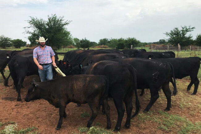 Low Carbon Beef program granted Process Verified approval from USDA