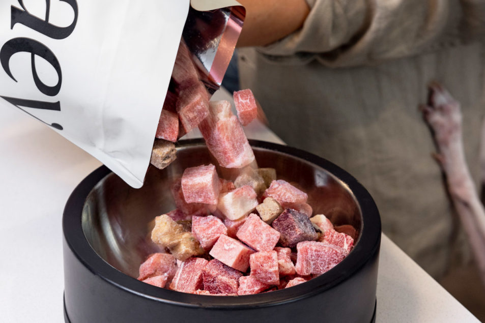 Human-grade raw dog food startup raises $9 million | Pet Food Processing