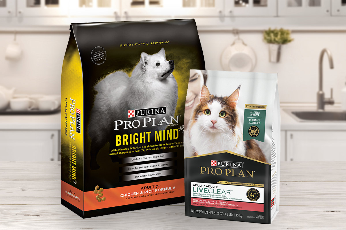 purina petcare