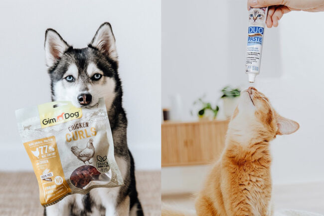 Gimborn, a German pet treat manufacturer, has hired a US team