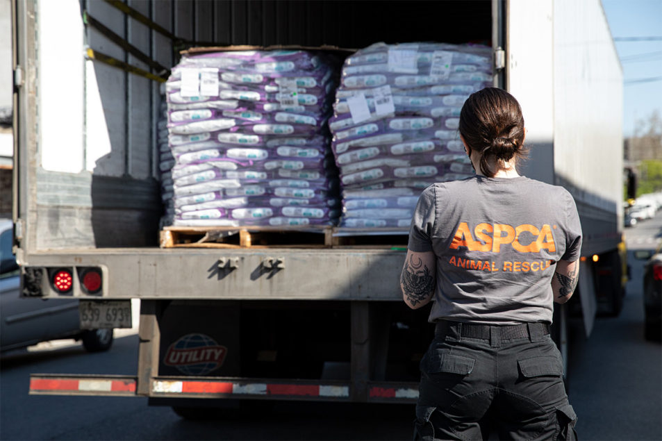Stella Chewy S Donates 530 000 Worth Of Pet Food To Aspca 05 08 Pet Food Processing