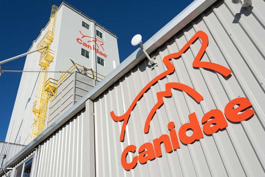 1 canidae exterior