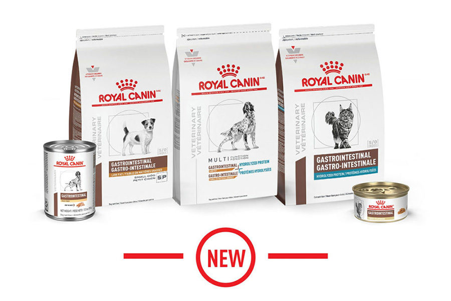 ROYAL CANIN® US’s new Veterinary Gastrointestinal (GI) diets for dogs and cats